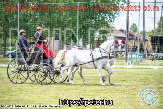 Mintakép 20260612-482