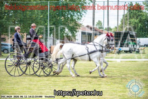 Mintakép 20260612-483