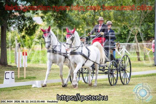 Mintakép 20260612-484