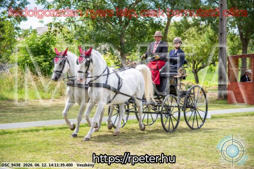 Mintakép 20260612-486