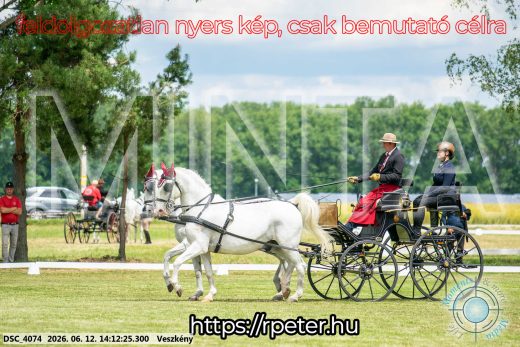 Mintakép 20260612-489