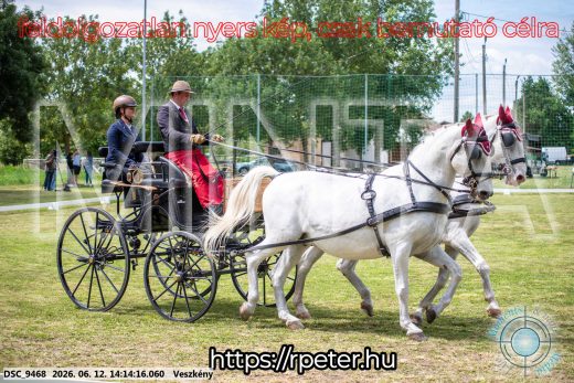 Mintakép 20260612-494