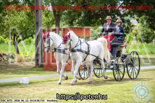 Mintakép 20260612-495