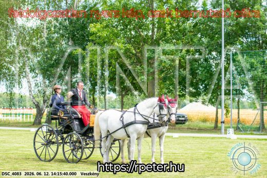 Mintakép 20260612-496