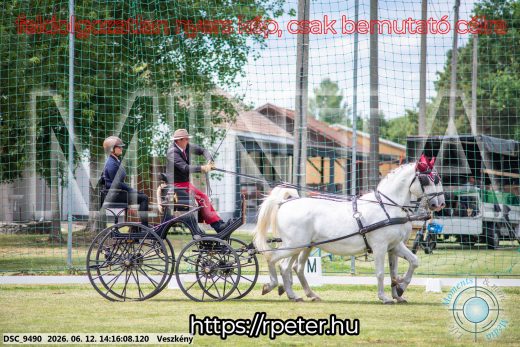 Mintakép 20260612-497