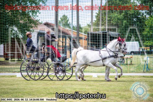 Mintakép 20260612-498