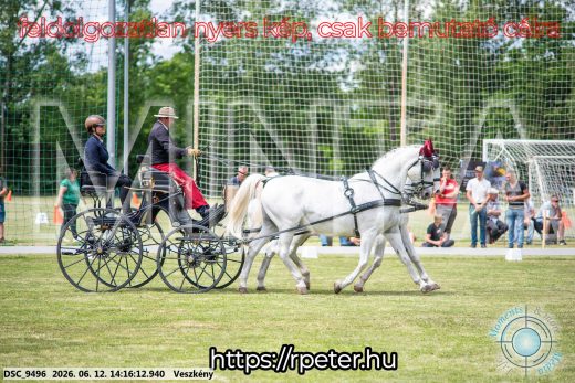 Mintakép 20260612-499