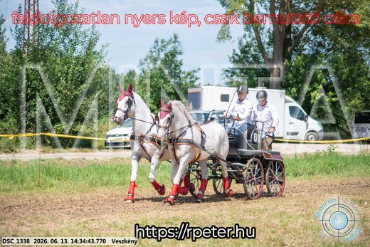 Mintakép 20260613-847