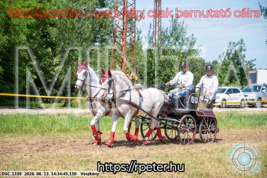 Mintakép 20260613-848