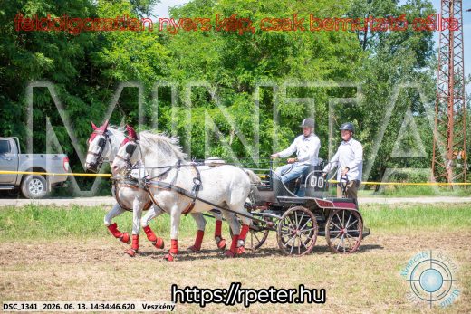 Mintakép 20260613-850