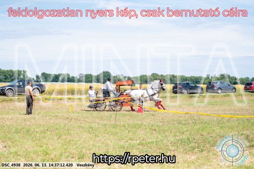 Mintakép 20260613-852