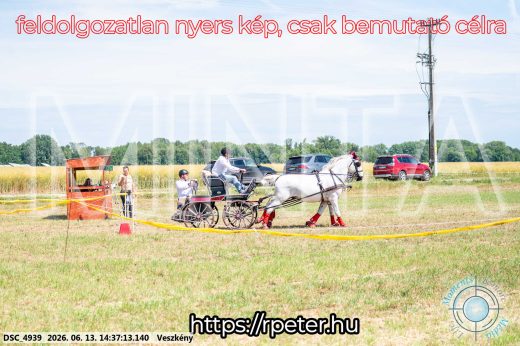 Mintakép 20260613-853