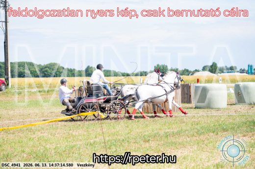 Mintakép 20260613-855