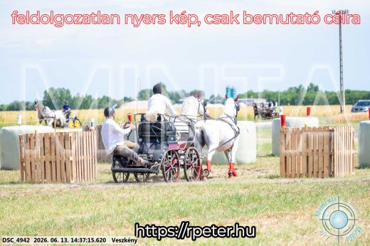 Mintakép 20260613-856