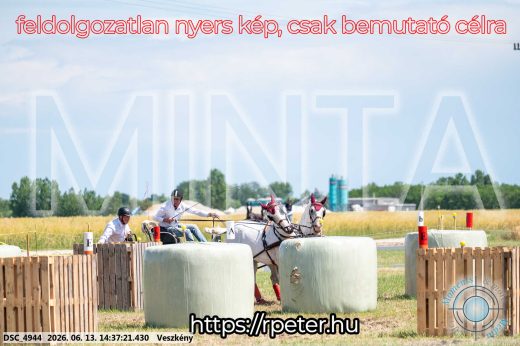 Mintakép 20260613-858