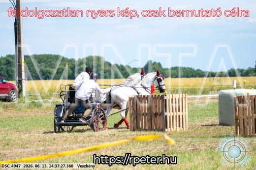 Mintakép 20260613-861