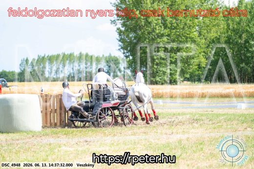 Mintakép 20260613-862