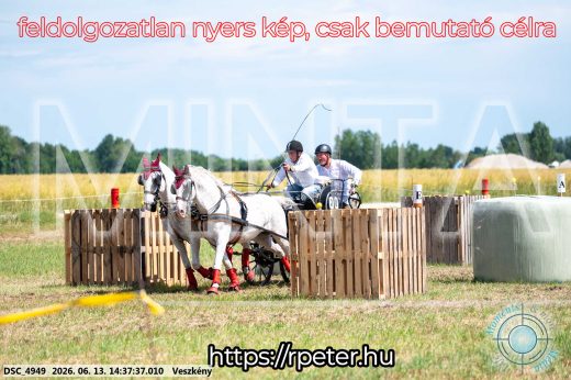 Mintakép 20260613-863