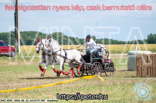 Mintakép 20260613-865