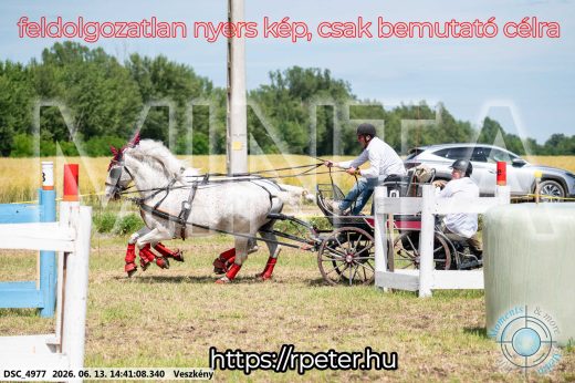 Mintakép 20260613-872