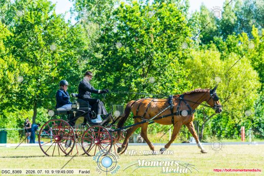 20260710-091949-DSC_8369.jpg