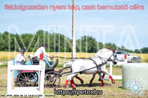 Mintakép 20260613-874