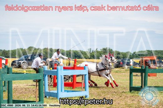 Mintakép 20260613-875