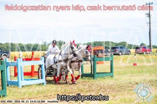 Mintakép 20260613-876