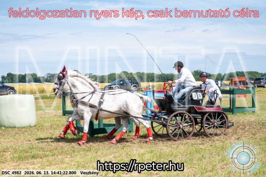 Mintakép 20260613-877