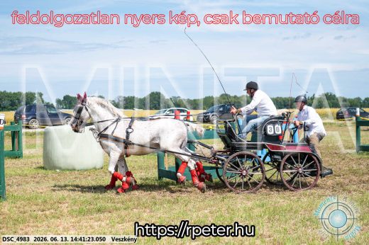 Mintakép 20260613-878