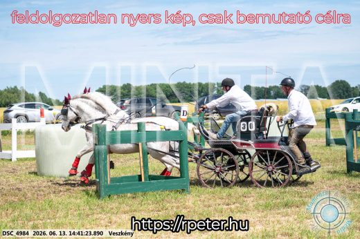 Mintakép 20260613-879