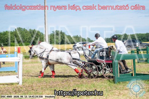 Mintakép 20260613-880
