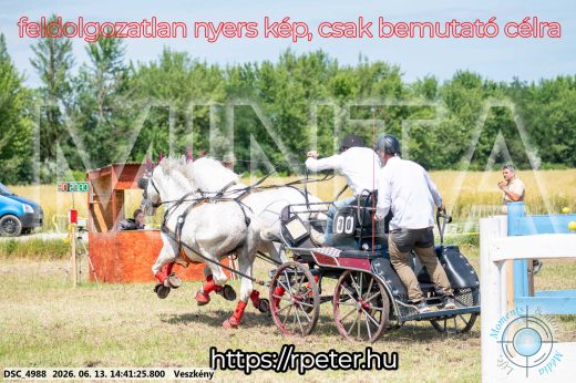 Mintakép 20260613-882