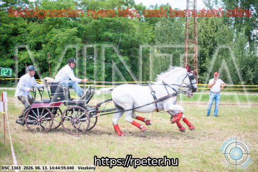 Mintakép 20260613-884