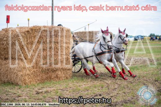 Mintakép 20260613-887