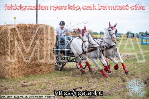 Mintakép 20260613-888