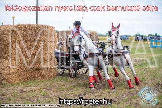 Mintakép 20260613-889