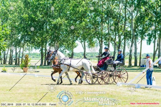20260710-123843-DSC_8918.jpg