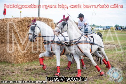 Mintakép 20260613-891