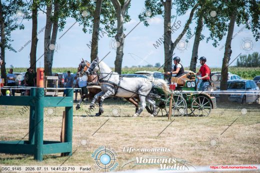 Mintakép 20260711-151