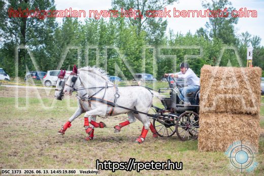 Mintakép 20260613-894