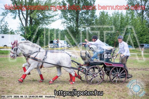 Mintakép 20260613-896
