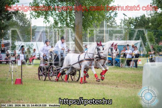 Mintakép 20260613-897