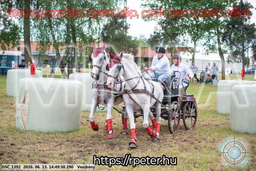 Mintakép 20260613-904