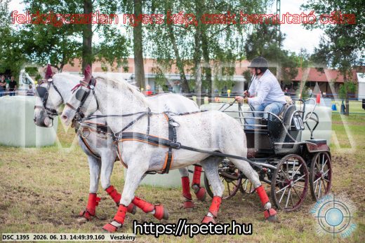 Mintakép 20260613-907