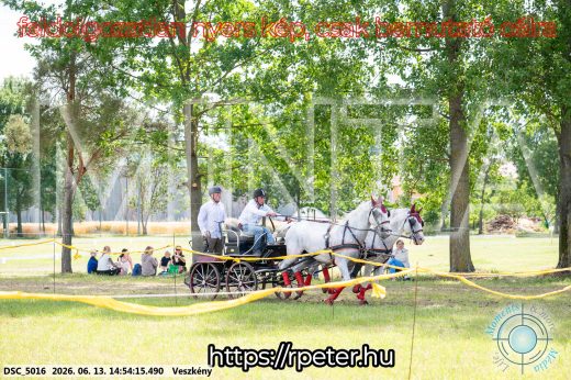 Mintakép 20260613-908