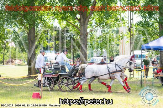 Mintakép 20260613-909