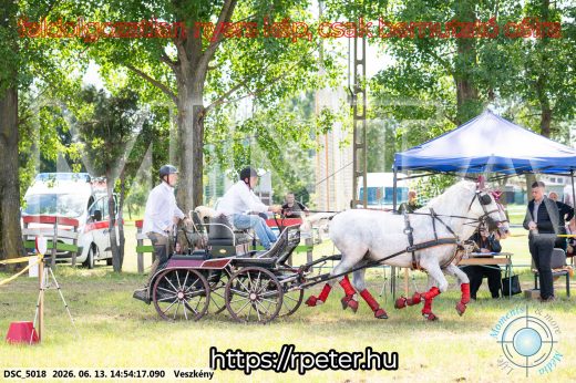 Mintakép 20260613-910