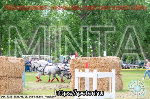 Mintakép 20260613-912