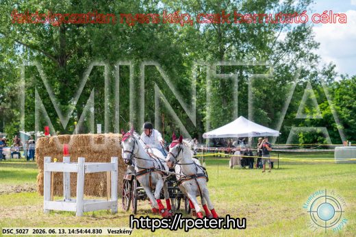 Mintakép 20260613-913